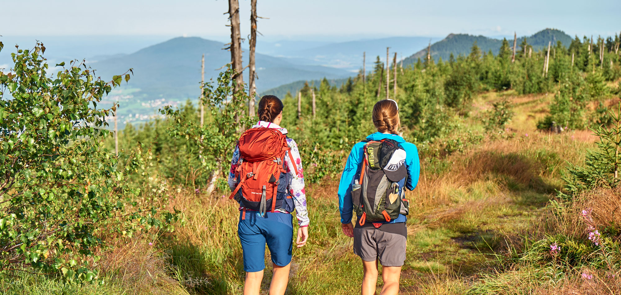 Wandertouren durch den Bayerischen Wald © Eisenschink